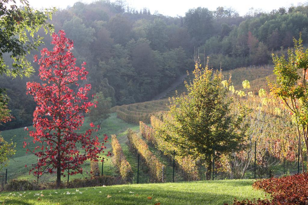 B&B Bricco Fiore Briaglia Exterior foto
